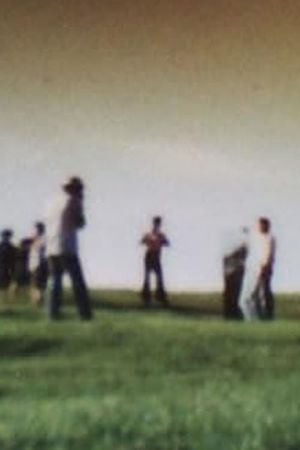 Like Happiness's poster