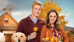 Love, Fall & Order's poster