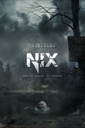 Nix's poster