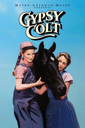 Gypsy Colt's poster