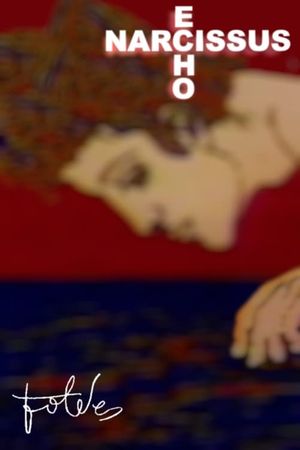 Narcissus-Echo's poster