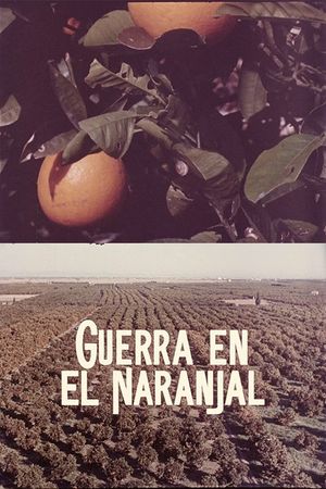 Guerra en el naranjal's poster