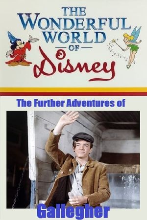 The Further Adventures of Gallegher's poster