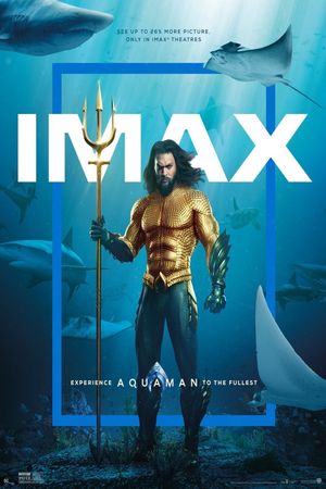 Aquaman's poster