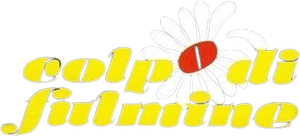 Colpo di fulmine's poster