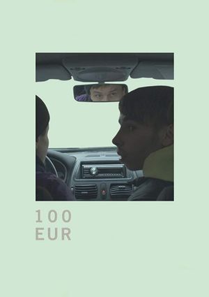 100 EUR's poster