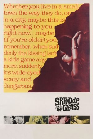 Splendor in the Grass's poster