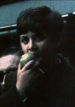 Apples's poster