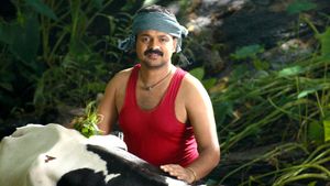 Elsamma Enna Aankutty's poster