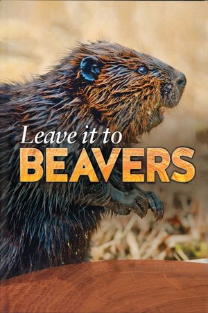 Leave it to Beavers's poster