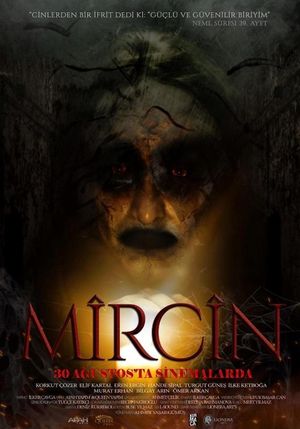 Mircin's poster image