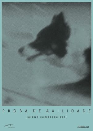 Proba de Axilidade's poster