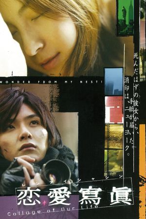 Love Collage's poster
