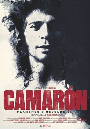 Camarón: Flamenco y revolución's poster