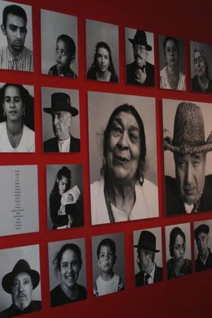 The Last Romani in Auschwitz's poster
