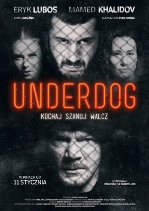 Underdog's poster