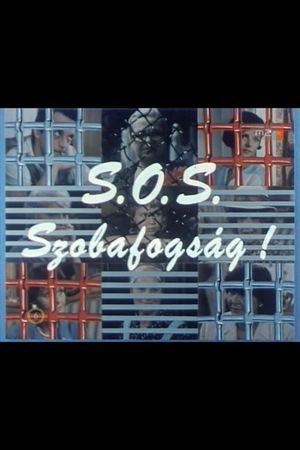 S.O.S. Szobafogság!'s poster image