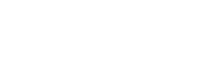 Showgirls's poster