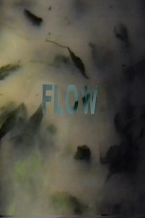 flow's poster