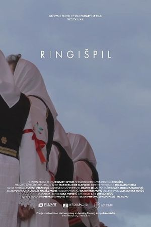 The Carousel's poster