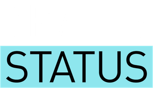 Brad's Status's poster
