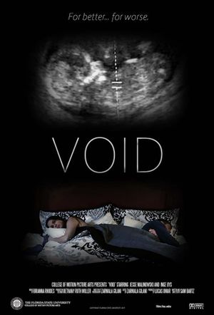 Void's poster