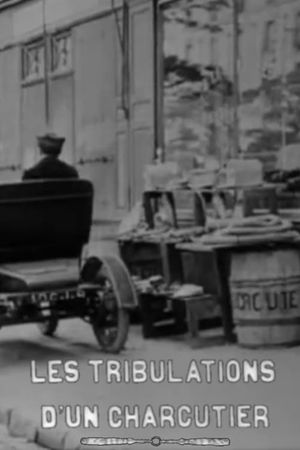 The Tribulations of a Pork Butcher's poster