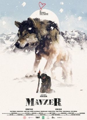 Mavzer's poster