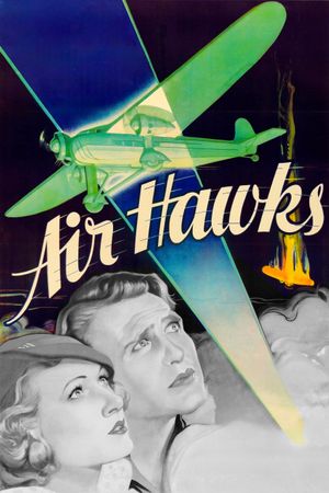 Air Hawks's poster