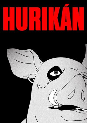 Hurikán's poster