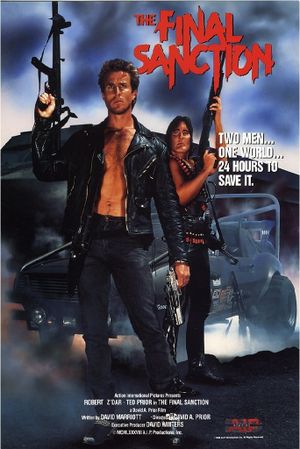 The Final Sanction's poster