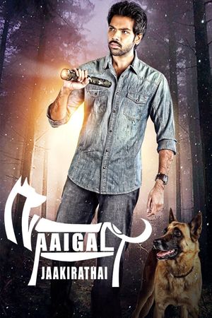 Beware of Dags's poster
