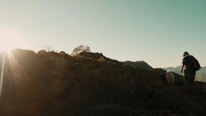 Salvajes, el cuento del lobo's poster