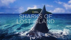 Sharks of Lost Island's poster