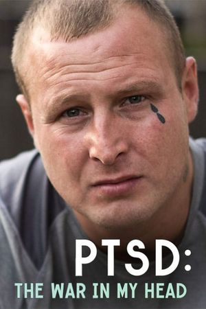 PTSD: The War in My Head's poster