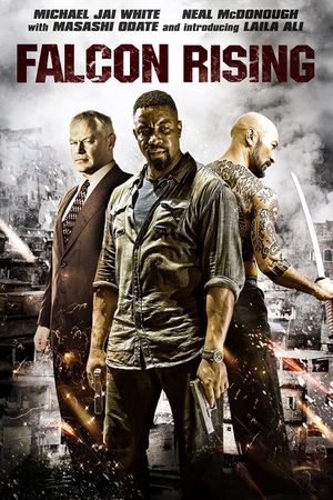 Falcon Rising's poster