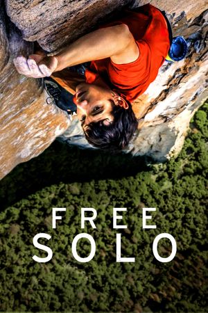 Free Solo's poster