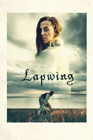 Lapwing's poster