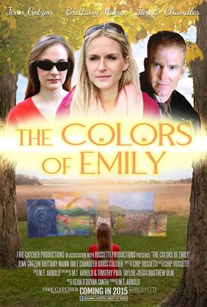 The Colors of Emily's poster