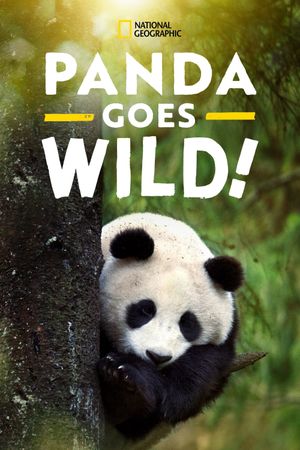 Panda Goes Wild's poster