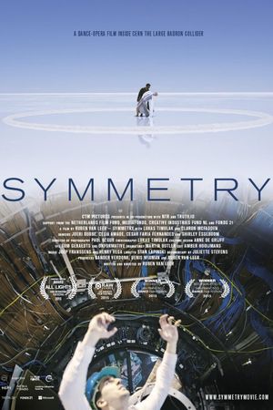 Symmetry's poster