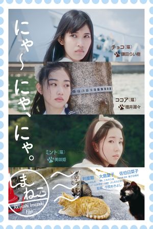Shimaneko's poster