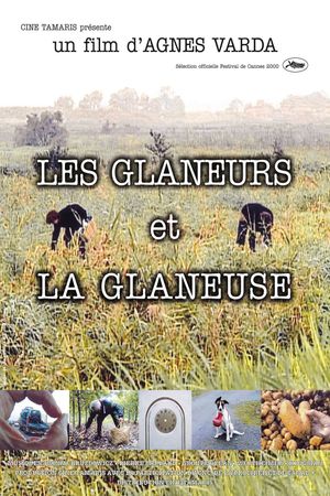 The Gleaners & I's poster