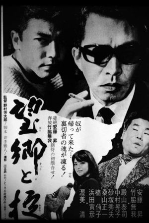 Nostalgia and the Law's poster
