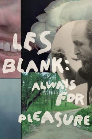 Always for Pleasure's poster