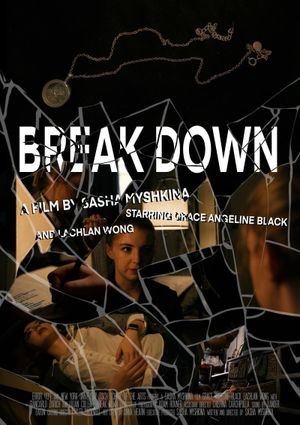 Break Down's poster