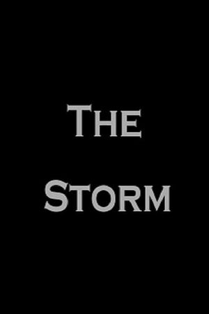 The Storm's poster