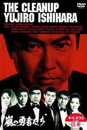 The Cleanup's poster