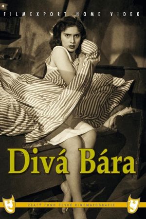 Divá Bára's poster