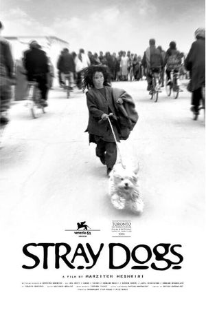 Stray Dogs's poster